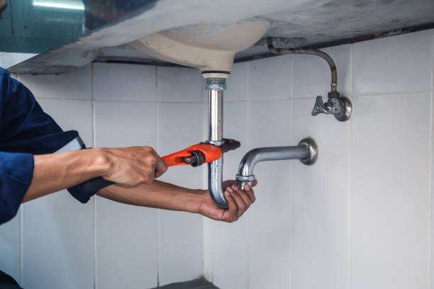 Best Leak Detection Services  in Theresa, WI