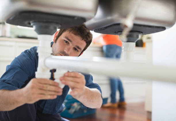 Best Affordable Plumber Near Me  in Theresa, WI