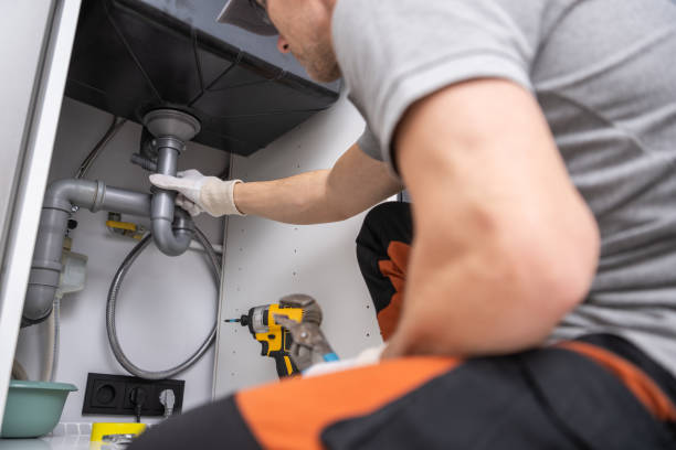 Best Plumbing Services Near Me  in Theresa, WI