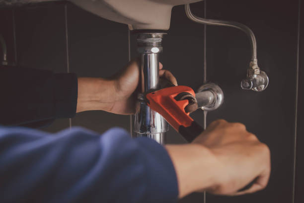Best Plumbing Inspection Services  in Theresa, WI