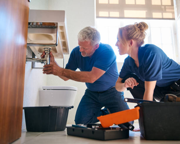 Best Plumbing Services Near Me  in Theresa, WI